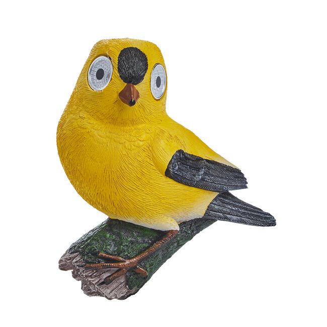Bright Eye Bird Solar Light
