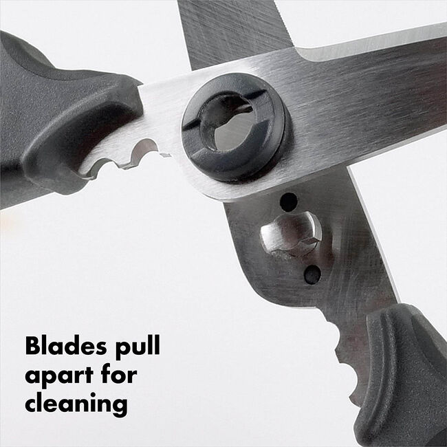 Oxo Good Grips Kitchen & Herb Scissors