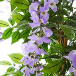 Artificial Wisteria Tree 1.2M