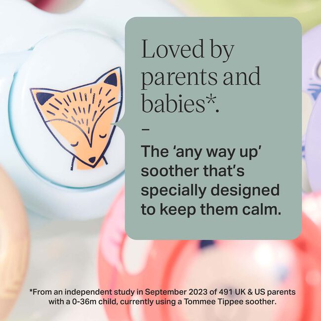 Tommee Tippee 18-36 Months Fun Baby Soother