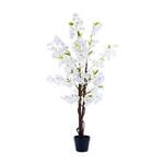 1.2M White Cherry Blossom
