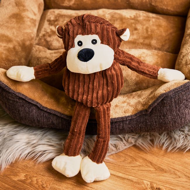 Smart Choice Plush Monkey Dog Toy