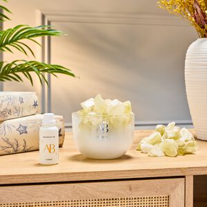 AB Crystal Citrine Crystal Diffuser