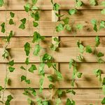 Ivy Creeper Garland 6M