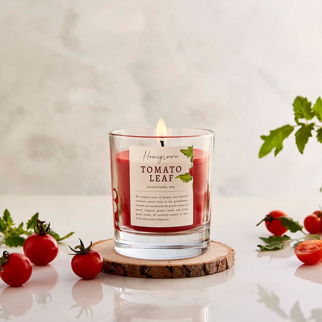 Wax Lyrical Home Grown Tomato Leaf Candle 