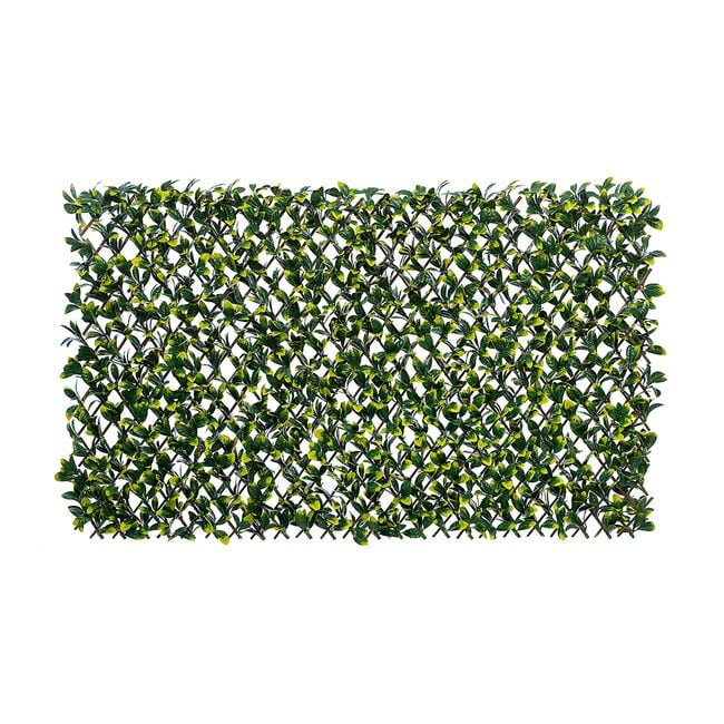 Laurel Willow Trellis 2M x 1M