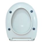 Glow In The Dark Slow Closing Toilet Seat