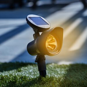 LED Solar Spot Stake Light