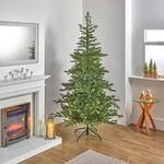 National Tree Fairview Fir 7ft Christmas Tree