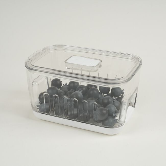 Storage Master Keep Fresh Small Storage