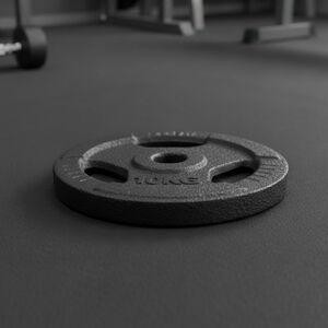 Cast Iron Weight 10kg