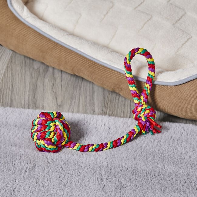 Charlie Rope Pet Toy With Knot