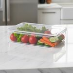 Fridge & Freezer Bin With Lid 