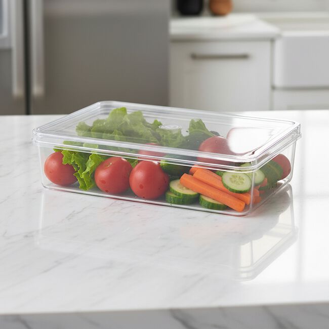 Fridge & Freezer Bin With Lid 