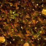 160 LED Solar Parasol Light