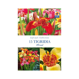 Tigridia Mixed Flower Bulbs - 15 Pack