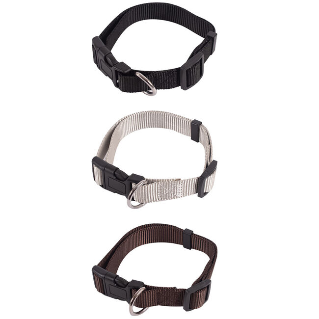 Smart Choice Dog Collar - Large