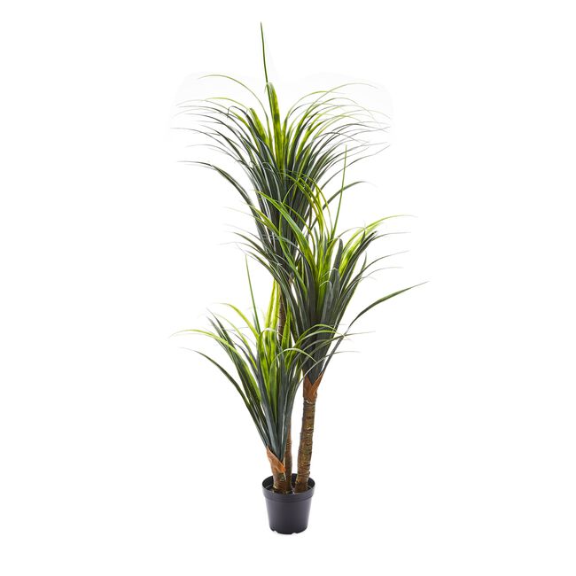 1.5M Artificial Dragon Tree