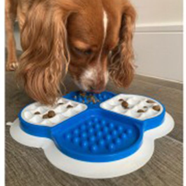 Lick Mat & Slow Feeder for Dogs