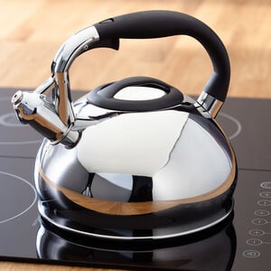 Judge Stove Top Whistling Kettle 3L