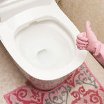 Foam Fresh Wild Berry Toilet Cleaner