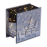 Cashel Living LED Scenery Box