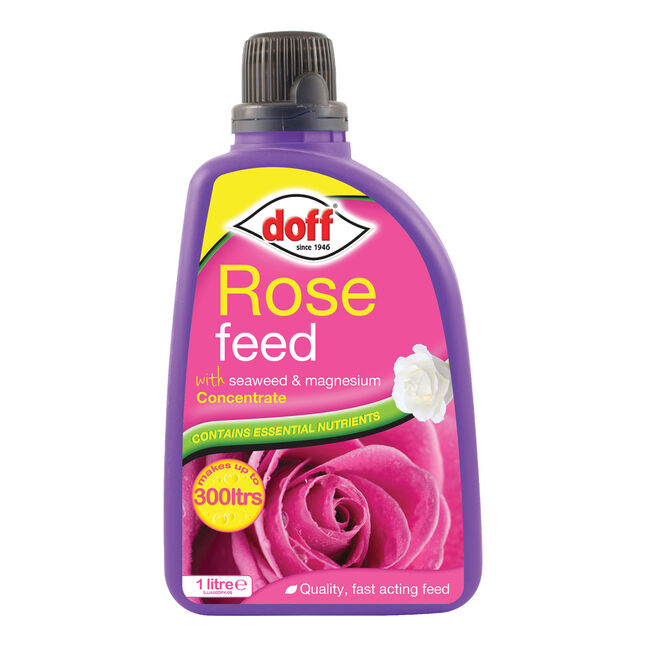 Doff 1L Rose Liquid Feed