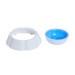 Pet Cooling Bowl