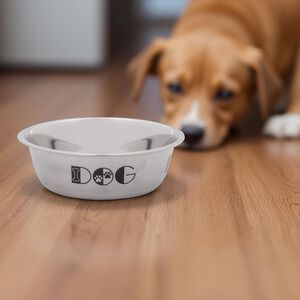 Polished Stainless Steel Pet Bowl 14cm