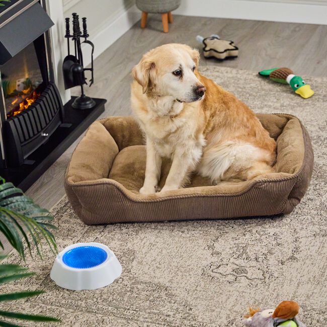 COSMO Corduroy Pet Bed Large