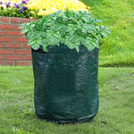 Potato Grow Bags Set of 2