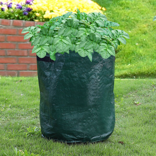 Potato Grow Bags Set of 2