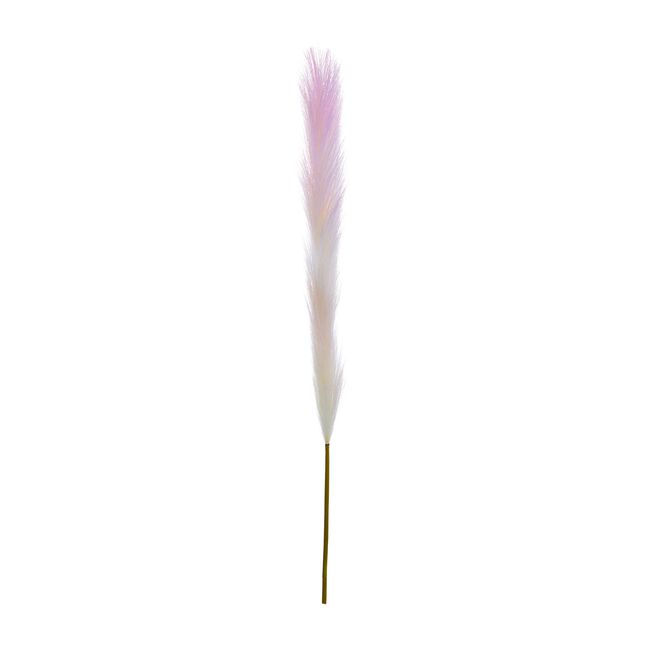 Pampas Single Stem Pale Pink 96cm