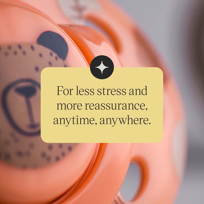 Tommee Tippee 18-36 Months Fun Baby Soother