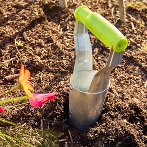 Stainless Steel Bulb Planter