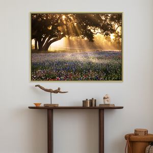 Bluebells And Sunlight Canvas 60cm x 80cm