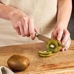 Zyliss Comfort Pro Paring Knife 19cm