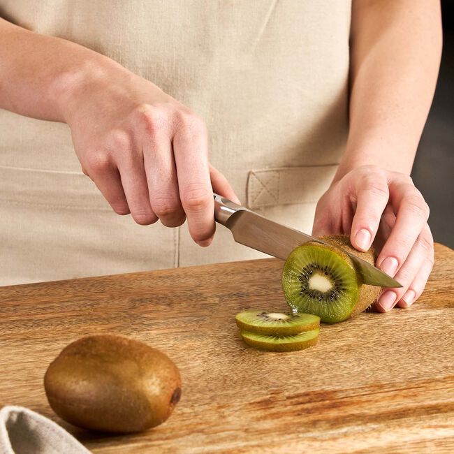 Zyliss Comfort Pro Paring Knife 19cm