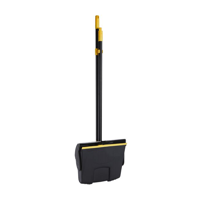 Gleam Clean Bee Long Handle Brush and Dustpan