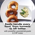 Hamilton Beach Professional Juicer Mixer Grinder