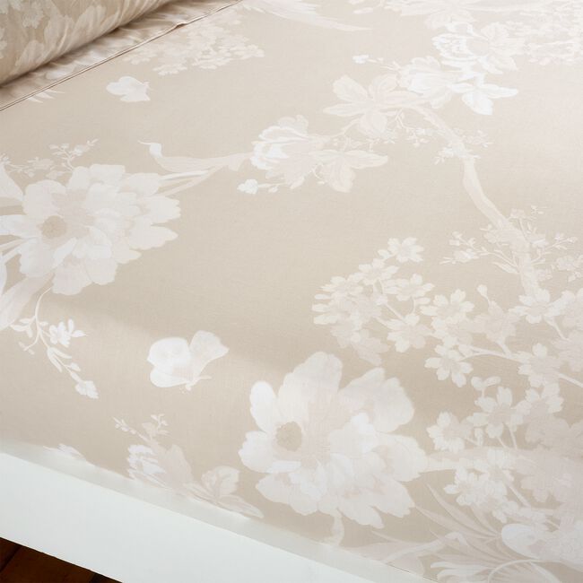 DANAE NATURAL Super King Fitted Sheet 