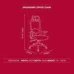 Ergonomic Office Chair