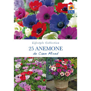 Anemone De Caen Mixed Flower Bulbs - 10 Pack