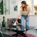 Karcher WV1 Window Vacuum