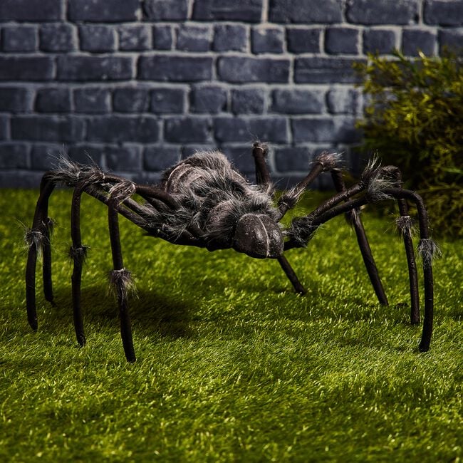 Giant Skeleton Spider