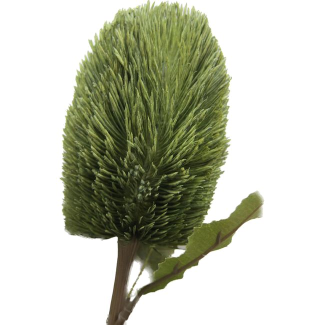 BANKSIA SPRAY Olive 