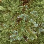 National Tree Fairview Fir 7ft Christmas Tree