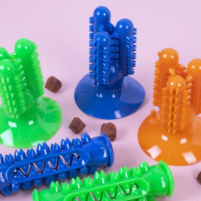 Dental Rubber Toothbrush Dog Toy - Assorted