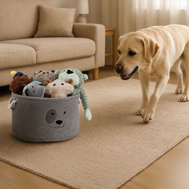 Pet Toy Storage Basket - Assorted