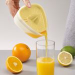 Joseph Joseph Duo Compact Juicer